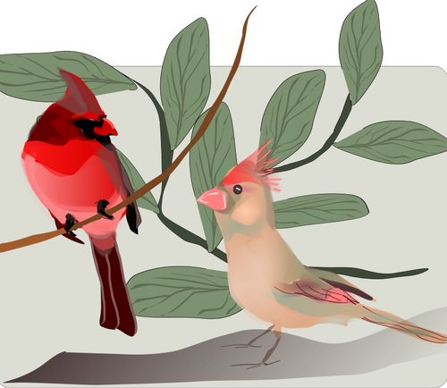 Of Colorful Sparrows On A Tree Branch Clipart