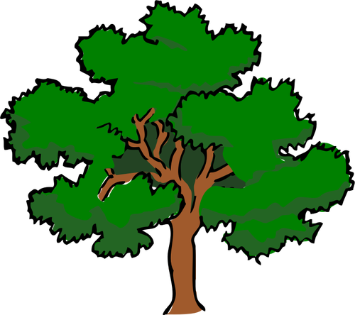 Of Oaktree With Wide Treetop, Clipart