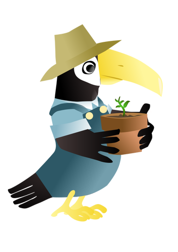 Of Parrot With Hat Clipart