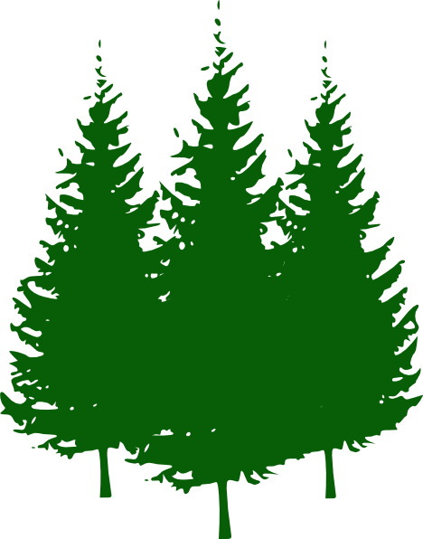 Forest Trees Images Hd Photo Clipart