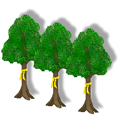 Trees Coloring Pages Images Free Download Clipart