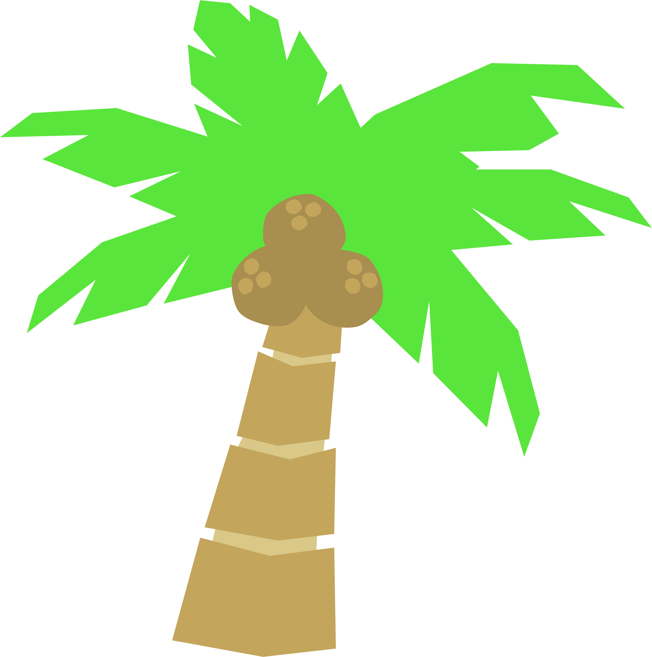 Tropical Palm Trees Images Image Clipart Clipart