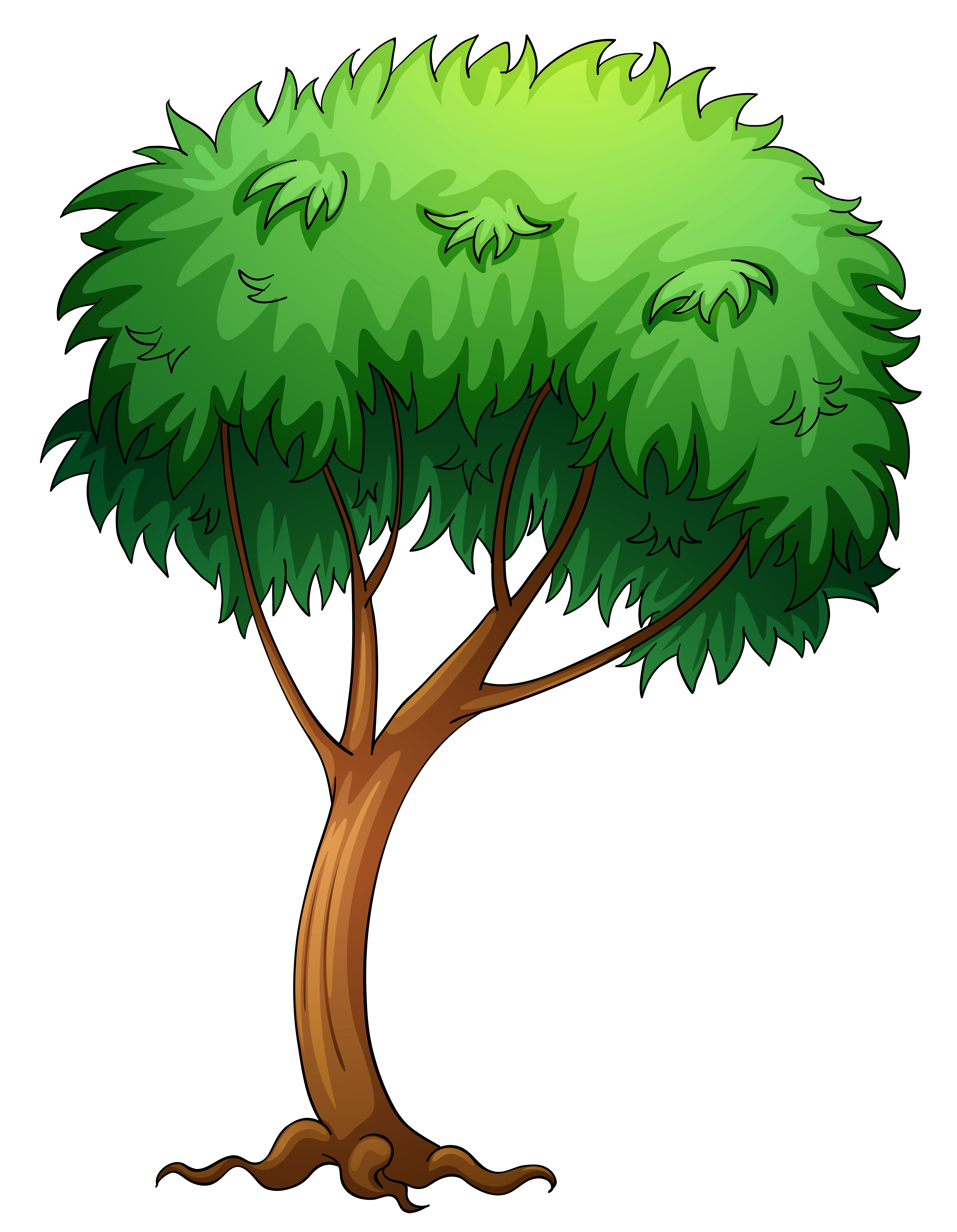 Trees Pictures Png Image Clipart