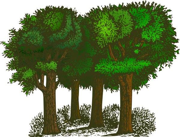 Trees Jungle Kid Image Png Clipart