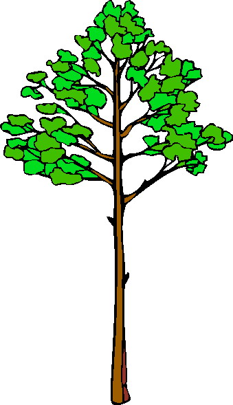 Trees Download Png Clipart