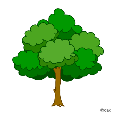 Trees Tree Without Leaves Images Download Png Clipart