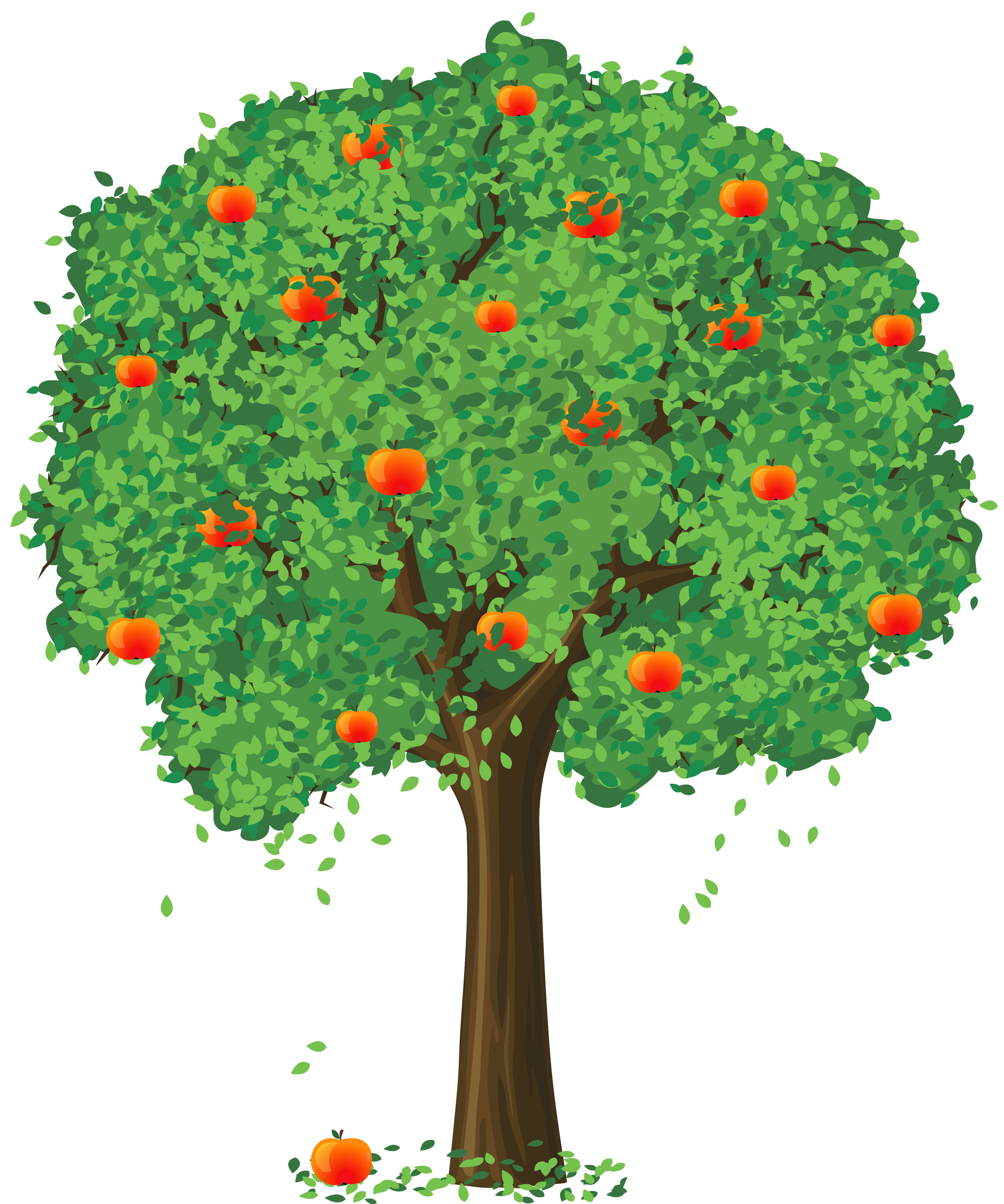 Trees Tree Apple Orchard Kid Clipart Clipart
