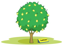 Free Trees Pictures Graphics Illustrations Free Download Clipart