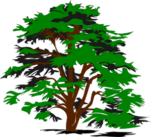 Trees Simple Tree At Clker Vector Clipart