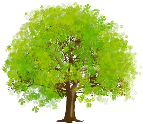 Large Green Tree Tree Art Trees And Clipart