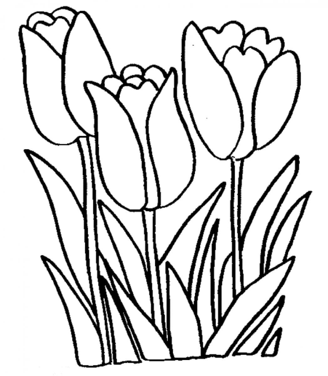 Yellow Tulip Image Download Png Clipart