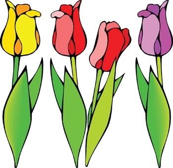 Tulip Flower Image Png Clipart