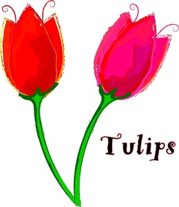 Clip Art Tulip Clipart Clipart