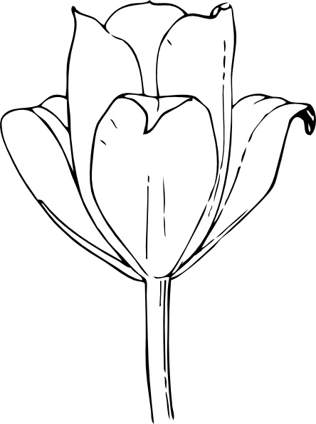 Tulip Flower Vector In Open Office Drawing Clipart