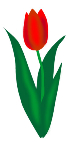 Tulip Border Images Png Images Clipart