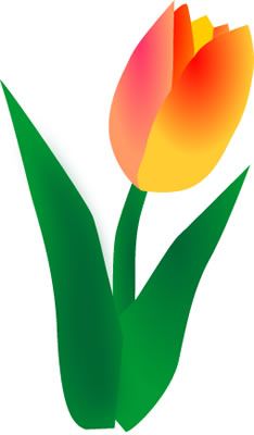 Tulip Spring And Ps On Png Image Clipart