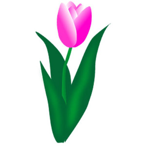 Clip Art Images Of Tulip Png Image Clipart