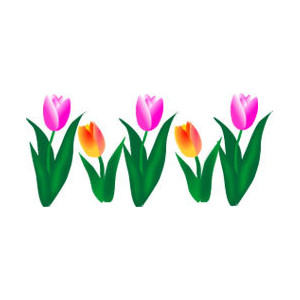 Tulip Spring Flowers Graphic Polyvore Hd Photo Clipart