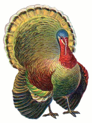 Free Turkey Thanksgiving Dinner Hd Photo Clipart