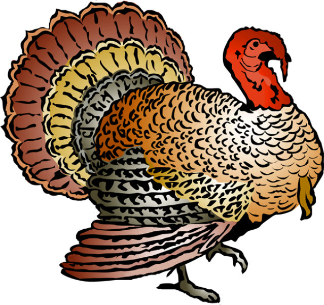 Turkey Thanksgiving Png Images Clipart