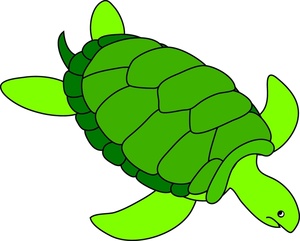 Sea Turtle Clipart Clipart