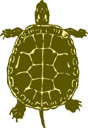 Turtle Vector In Open Office Drawing Svg Clipart