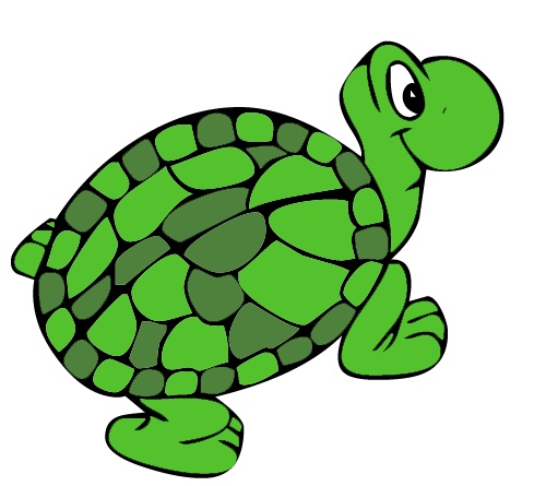 Sea Turtle Png Image Clipart