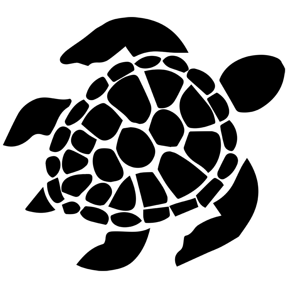 Cartoon Turtle Images Image Transparent Image Clipart