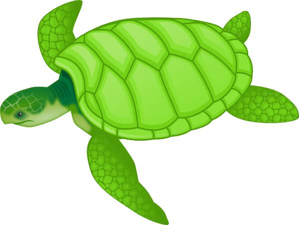 Turtle Free Download Clipart