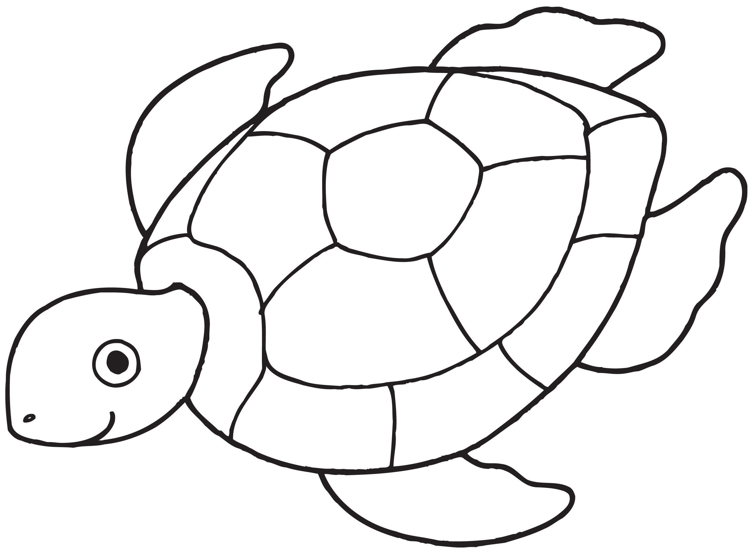 Sea Turtle Black And White Hd Image Clipart