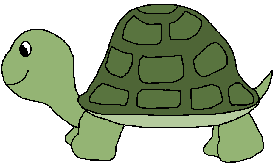 Turtle Cartoon Free Download Png Clipart