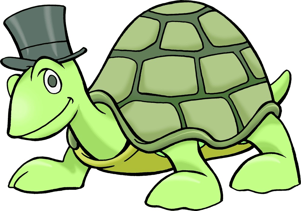 Turtle For You Hd Photos Clipart