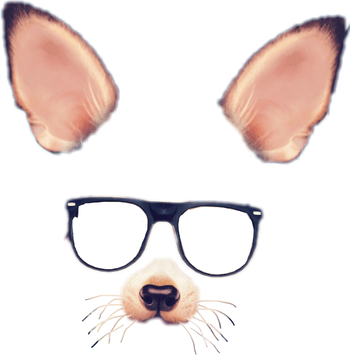 Spectacles Snapchat Filter Chat Snap Photographic Clipart