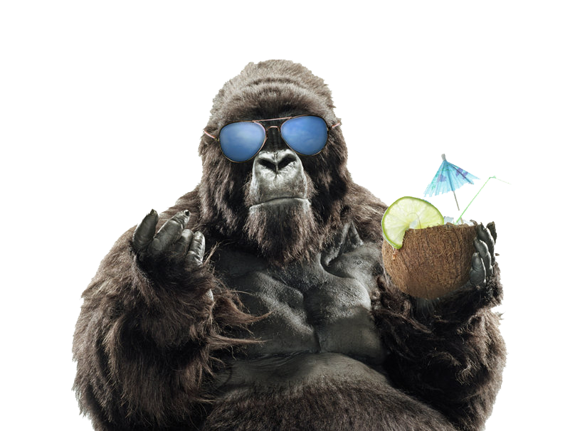 Summer Sunglasses Primate Vacation Gorilla Western Orangutan Clipart