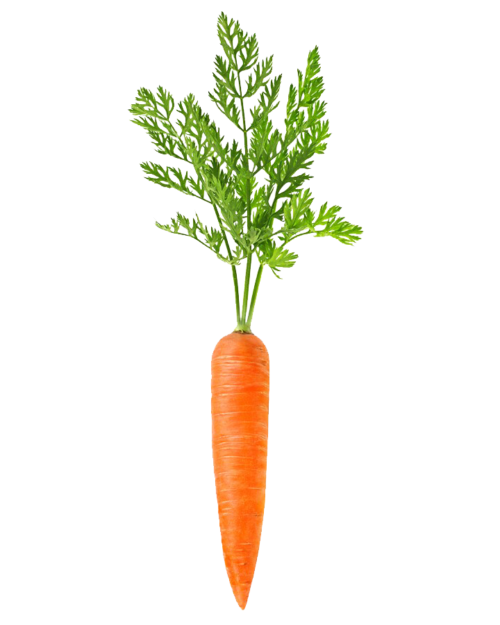 Carrot Free Transparent Image HD Clipart