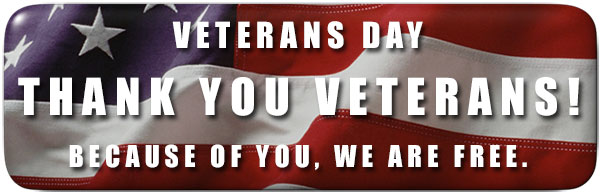 Veterans Day Graphics Free Download Png Clipart