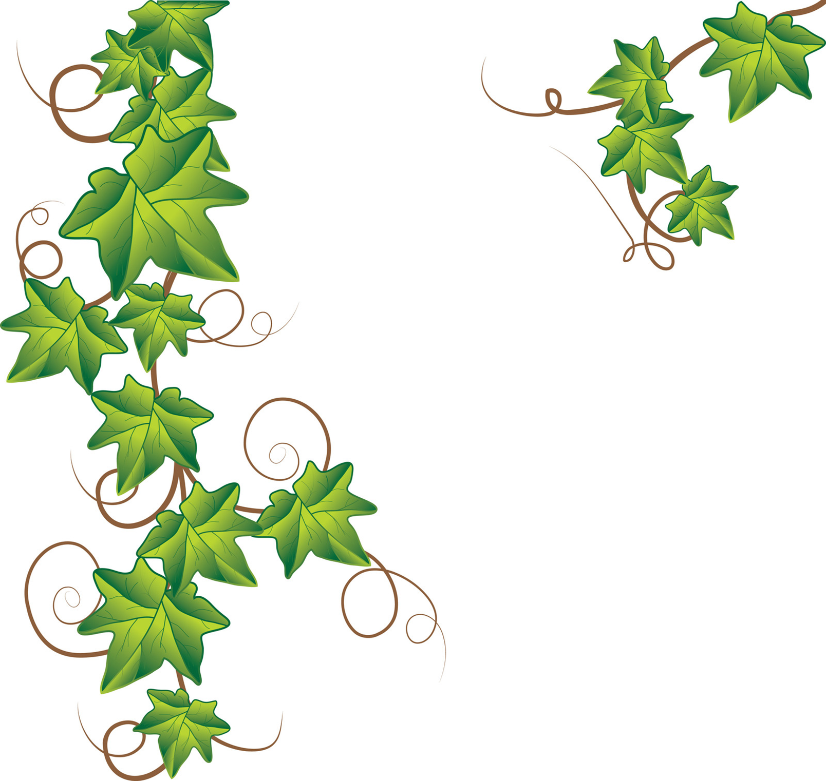 Green Vines Images Png Image Clipart