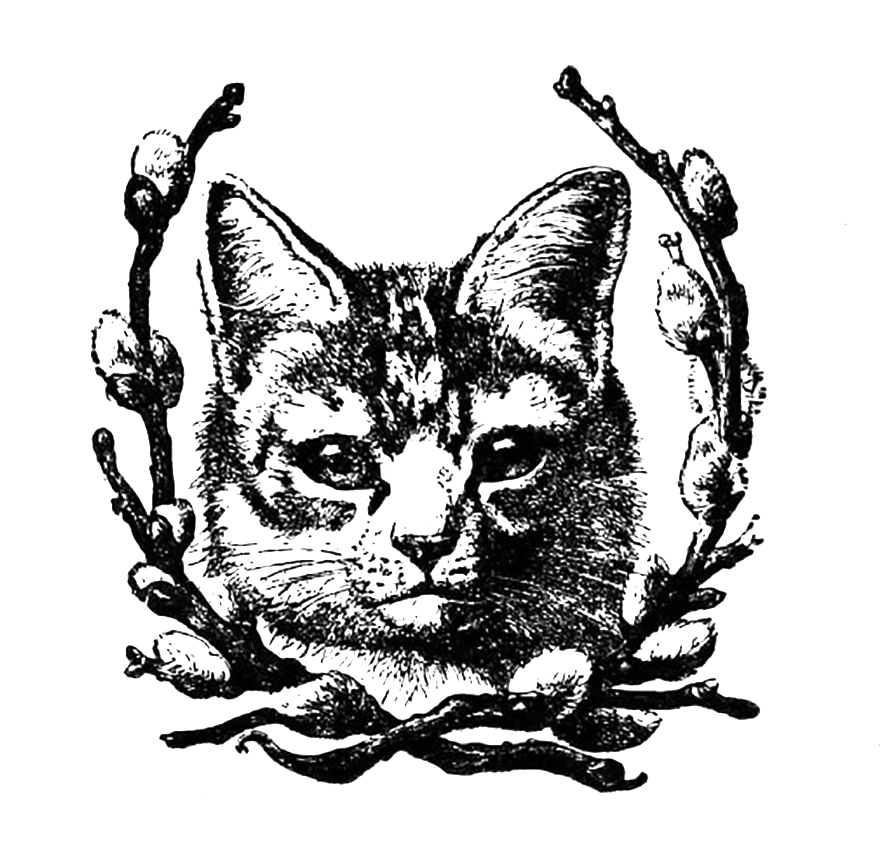 Vintage Cat Dromgfd Top Png Image Clipart