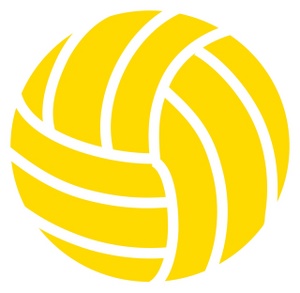 Free Volleyball Images Graphics Animated Free Download Png Clipart