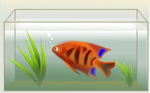 Orange Fish In Aquarium Clipart