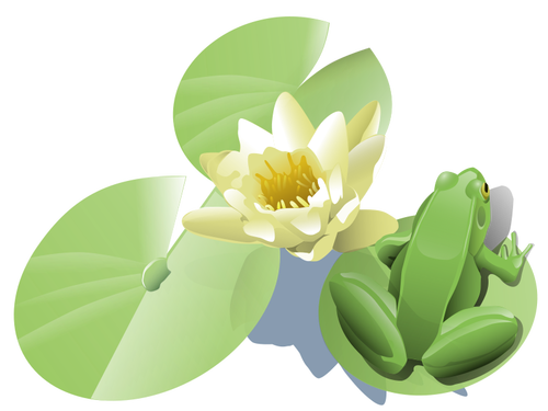 Frog On A Lily Pad Clipart