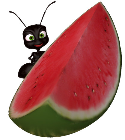 Watermelon Clipart Clipart