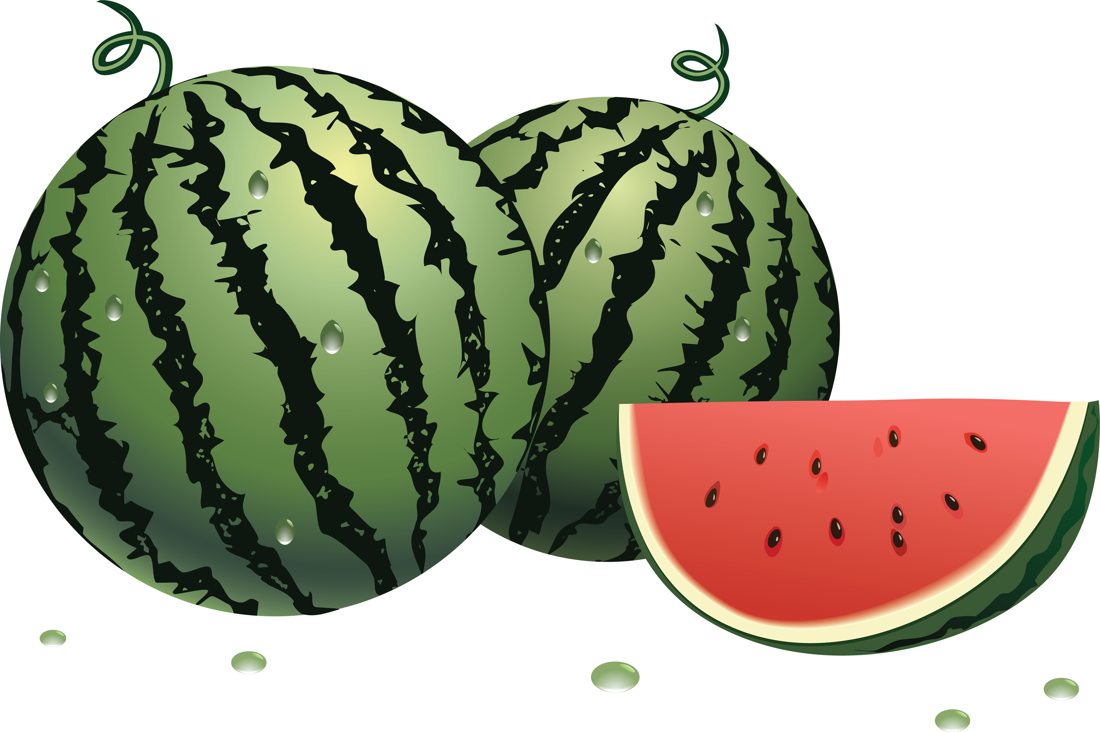 Watermelon Png Image Clipart