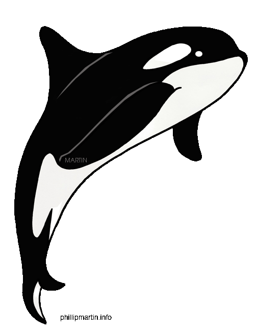 Orca Whale Images Png Images Clipart