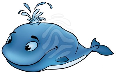 Whales Png Image Clipart