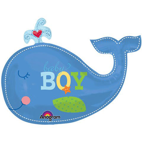 Baby Whale Dromgbf Top Png Image Clipart