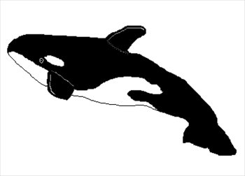 Free Whales Graphics Images And Photos Clipart