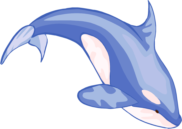 Free Whale Png Image Clipart