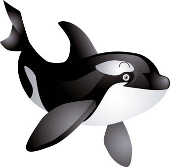 Cute Killer Whale Dromgbm Top Free Download Png Clipart
