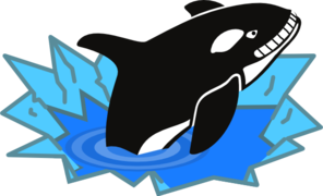 Killer Whale At Clker Com Vector Clipart